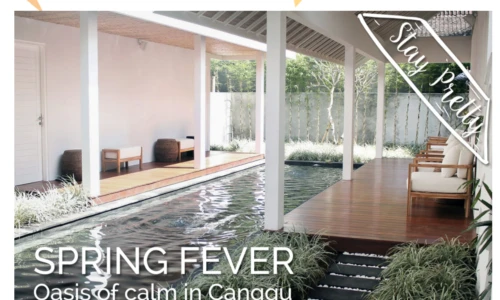 Bali chronicles canggu